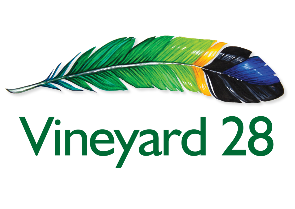 Vineyard 28 Logo